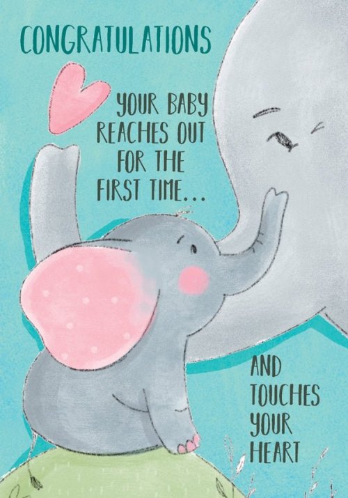 Congratulations - Elephants Std Card Textured (6 Pack)