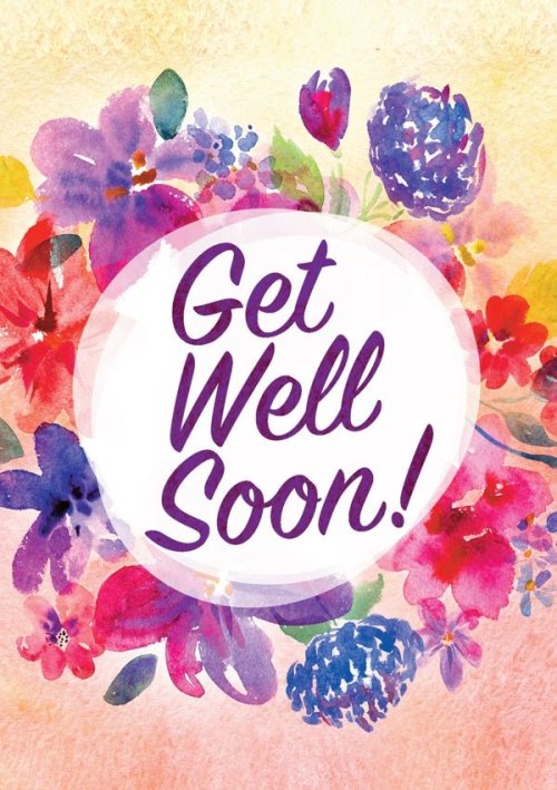 Get Well Soon - Flowers Std Card Textured (6 Pack)