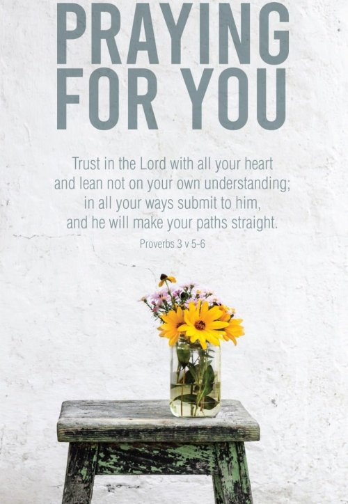 Praying For You - Yellow Flower -Std Card Textured (6 Pack)