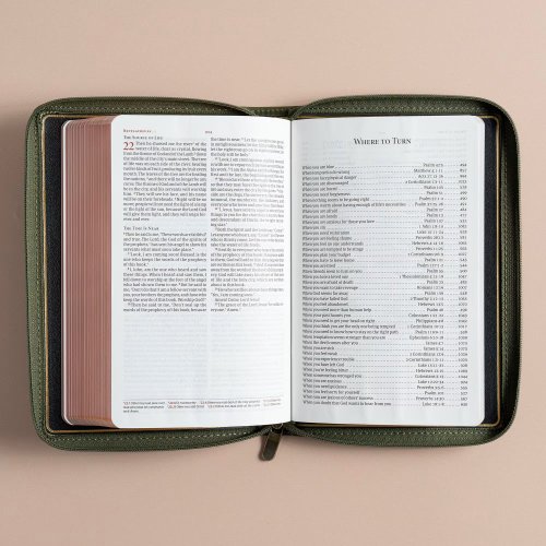 CSB Personal Size Bible, Holman Handcrafted Collection, Zipper Closure, Marbled Olive Premium Calfskin