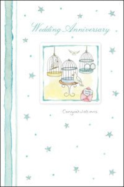Wedding Anniversary ****