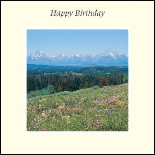 Happy Birthday ****