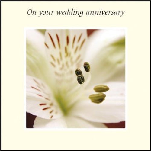On Your Wedding Anniversary ****
