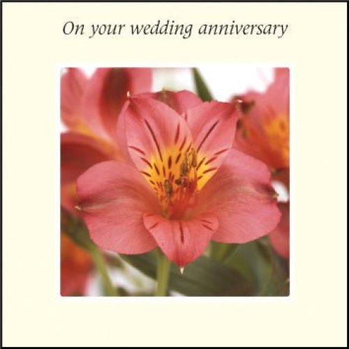 On Your Wedding Anniversary ****