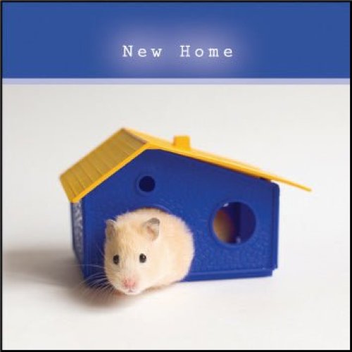 New Home ****