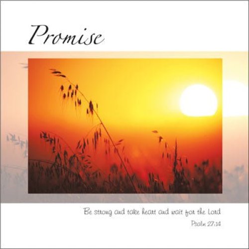 Promise ****