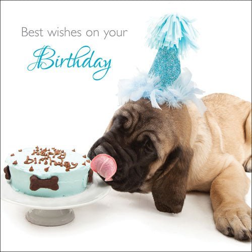 Best Wishes On Your Birthday