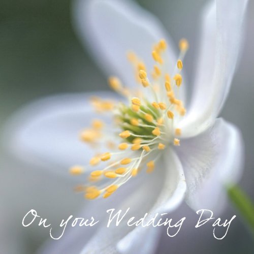 Wedding (Wood Anemone)
