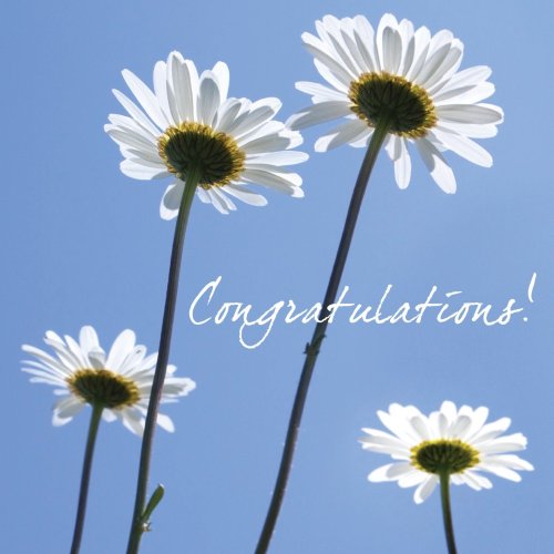 Congratulations(Daisies)