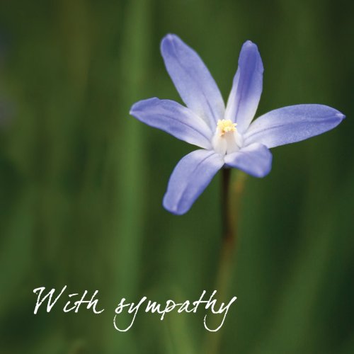 With Sympathy (Blue Flowers)