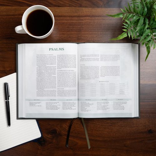 CSB Men of Character Bible, Revised and Updated, Charcoal Cloth Over Board