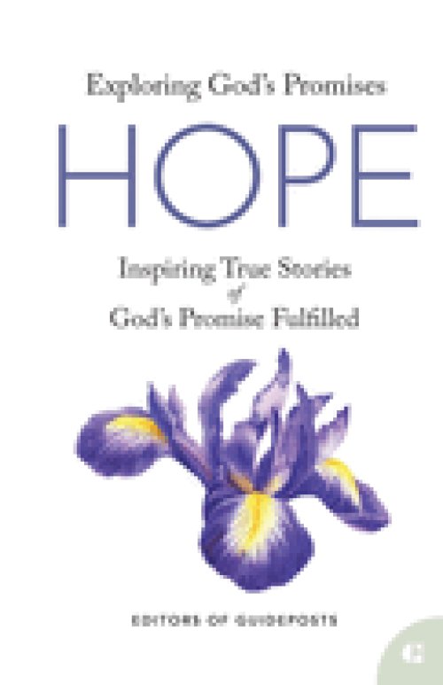 Hope: Inspiring True Stories of God's Promise Fulfilled