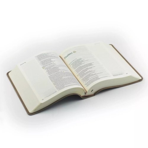 Hosanna Revival NLT Notetaking Bible + Notebook: Marlo Theme