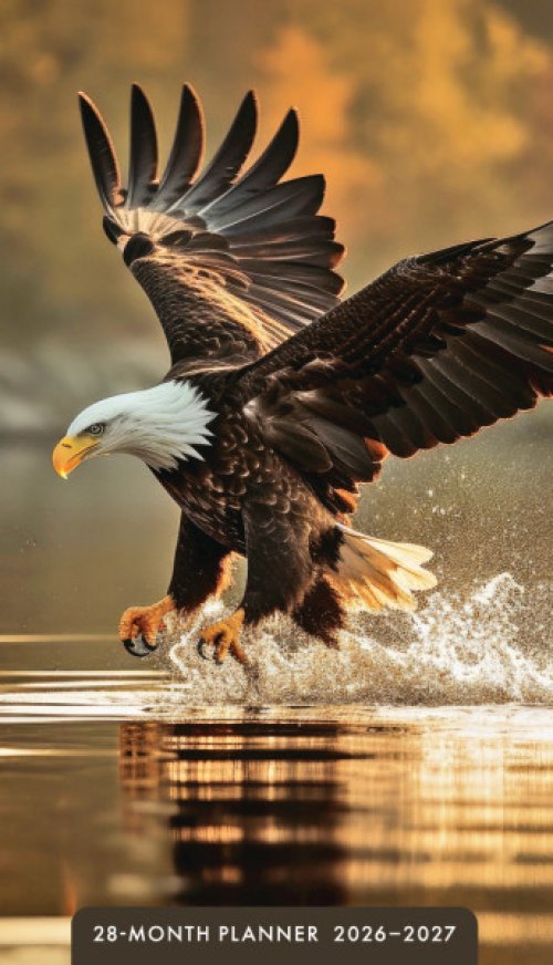 Eagles 28 Month Planner