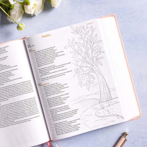 CSB Illustrator's Notetaking Bible, Large Print Edition