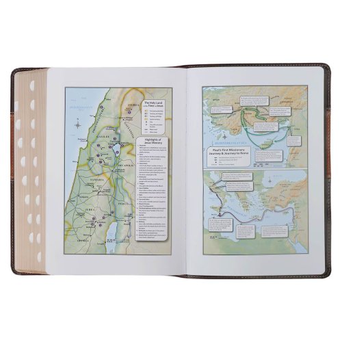 KJV Study Bible Faux Leather, Two-tone Brown with Thumb Index
