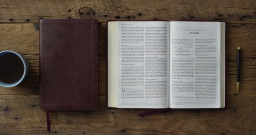 ESV Large Print Thinline Bible, Red Letter (TruTone, Mahogany)