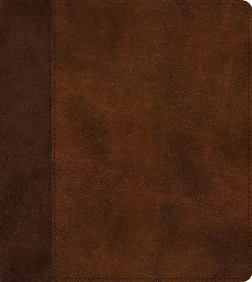 ESV Journaling Study Bible (TruTone, Brown/Chestnut, Timeless Design)