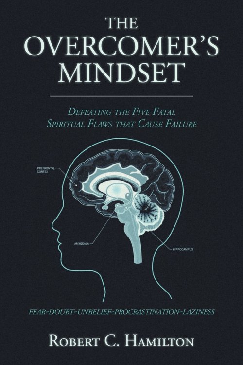 THE OVERCOMER'S MINDSET  : DEFEATING THE FIVE FATAL SPIRITUAL FLAWS THAT CAUSE FAILURE