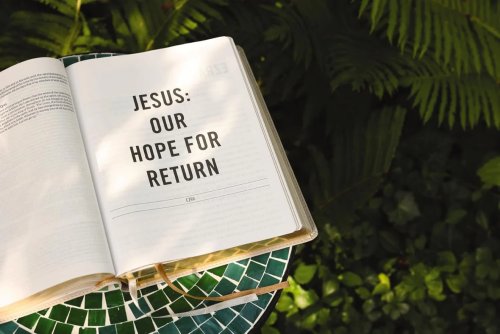 The Jesus Bible, ESV Edition, Leathersoft, Stone