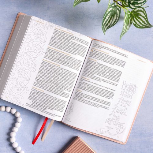 CSB Illustrator's Notetaking Bible, Large Print Edition