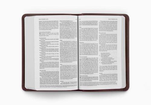 ESV Value Compact Bible (TruTone, Brown)