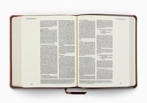 ESV Journaling Bible (TruTone, Brown/Tan, Timeless Design)