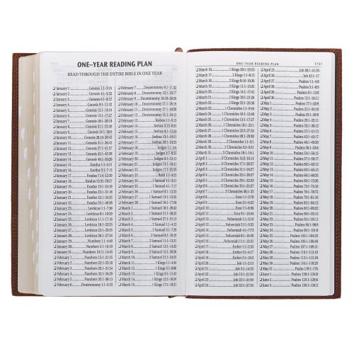 KJV Bible Giant Print Standard-size Full-grain Leather, Dark Brown