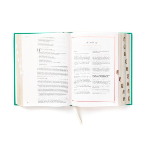 CSB She Reads Truth Bible, Emerald Cloth Over Board, Indexed (Limited Edition)