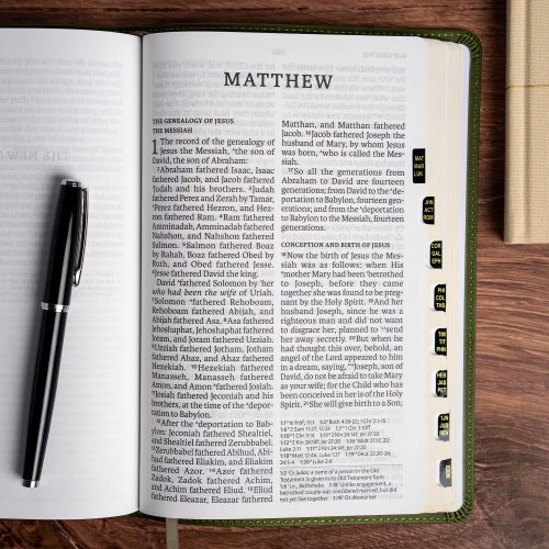 NASB Personal Size Giant Print Bible, Olive, Indexed