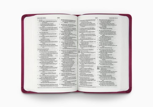 ESV Value Compact Bible (TruTone, Raspberry, Floral Design)