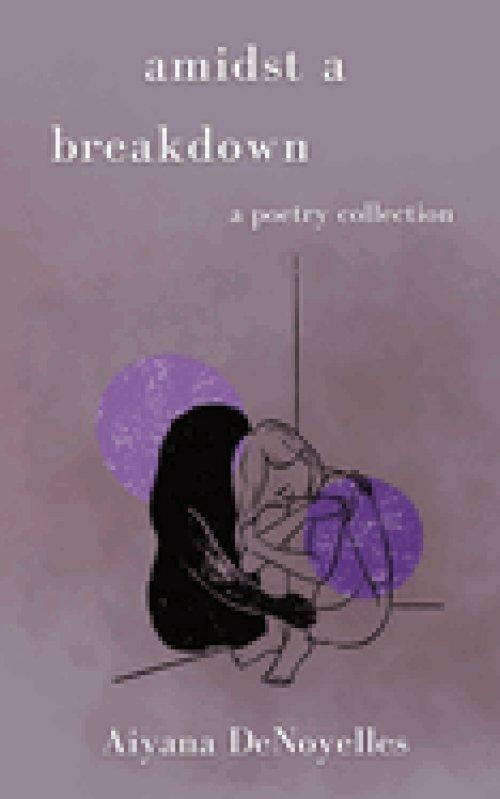 Amidst a Breakdown: A Poetry Collection