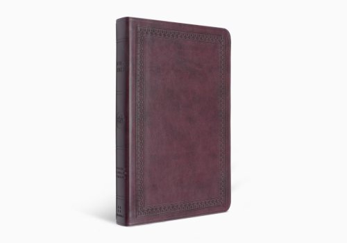 ESV Premium Gift Bible (TruTone, Mahogany, Border Design)