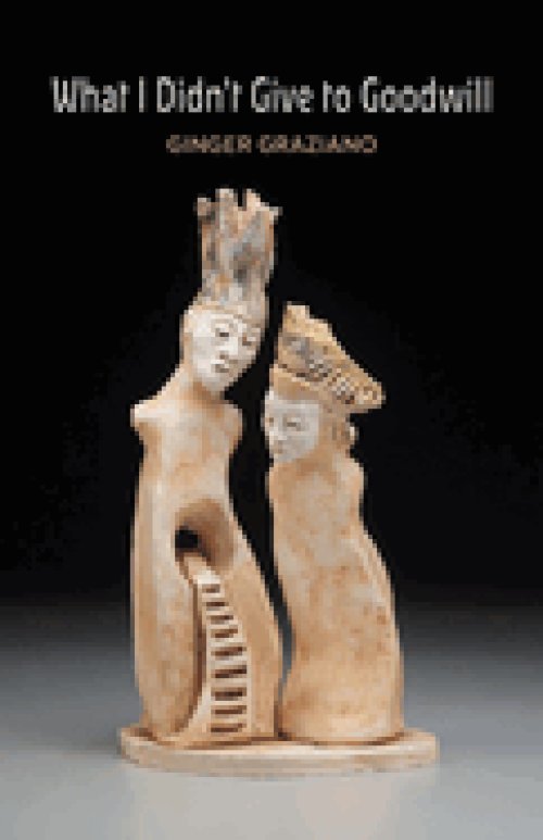 What I Didn't Give to Goodwill