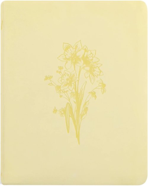 NLT Notetaking Bible: Belfast Theme