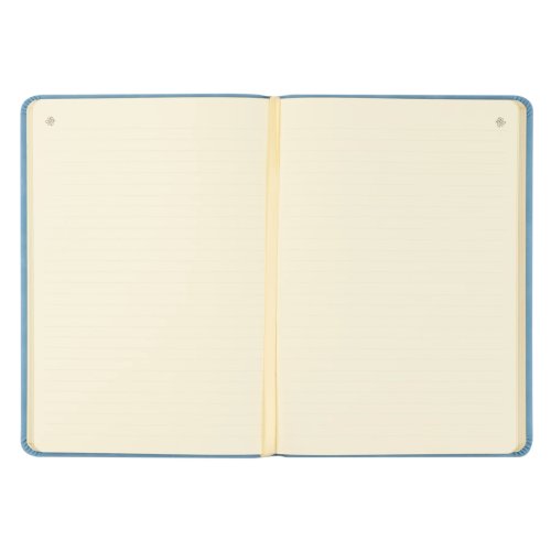 Hosanna Revival Notebook: Bethany Theme