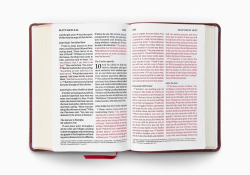 ESV Giant Print Personal Size Bible, Red Letter (TruTone, Mahogany, Trellis Design)