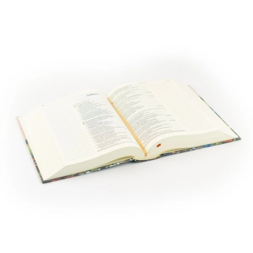 NTV Spanish Notetaking Bible: Coram Theme