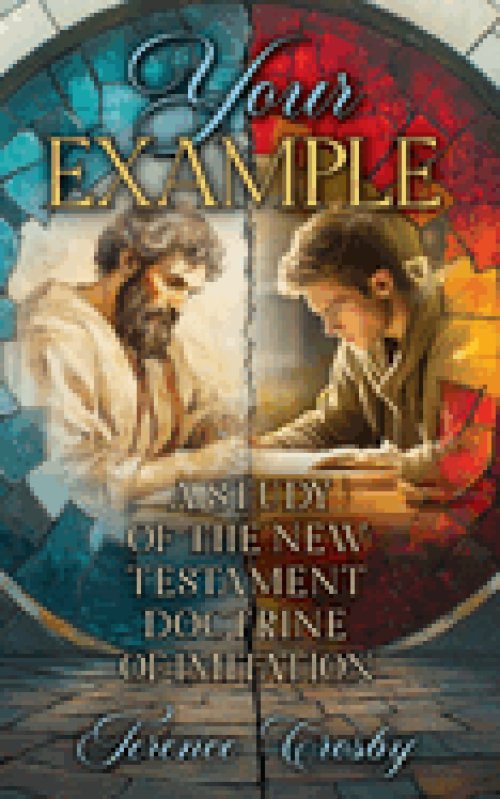 Your Example: A Study of the New Testament Doctrine of Imitation