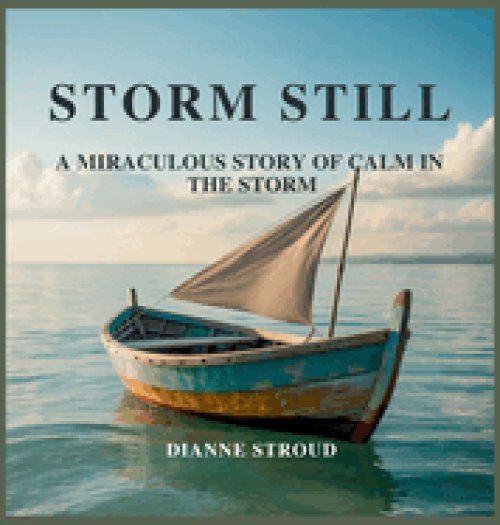 Storm Still: A Miraculous Story of Calm in the Storm