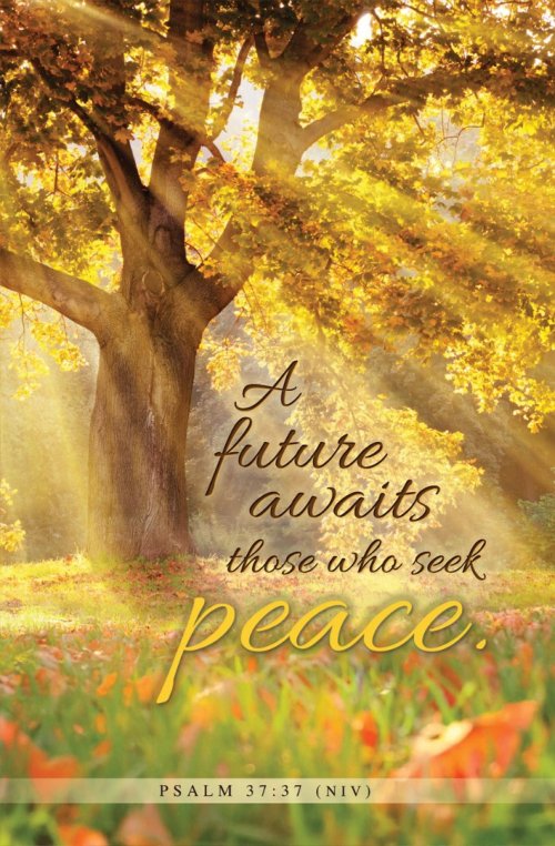 Future Awaits Bulletin (pack of 100), A