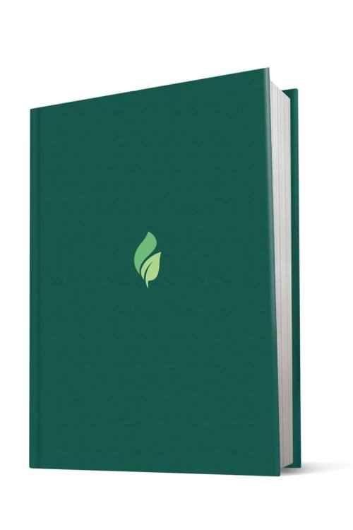 NLT Life Recovery Bible, Green, Hardback, Large Print, 12 Steps Devotionals, Recovery Profiles, Recovery Notes, Topical Verse Find, Facilitator's Guide