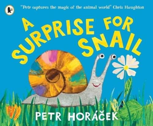 Surprise For Snail