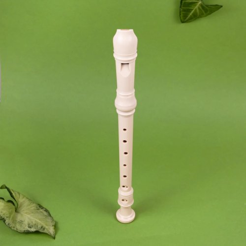 Learn To Play Jungle Animals Recorder