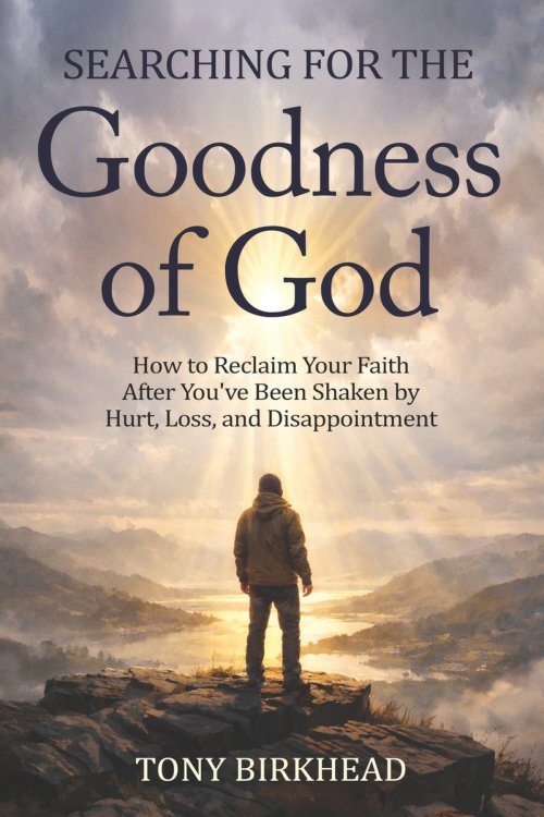 Searching for the Goodness of God: How to Reclaim Your Faith After You've Been Shaken by Hurt, Loss, and Disappointment