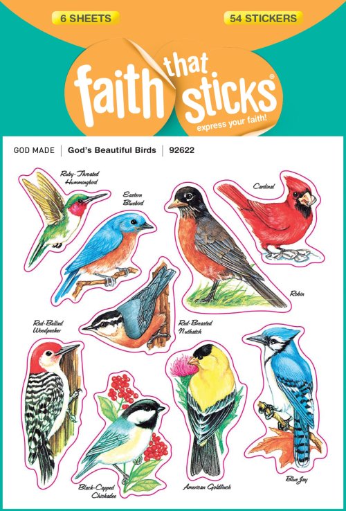 God's Beautiful Birds