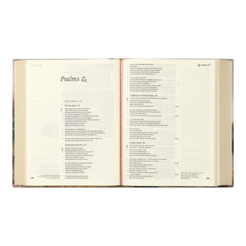 CSB Notetaking Bible: Faroe Theme
