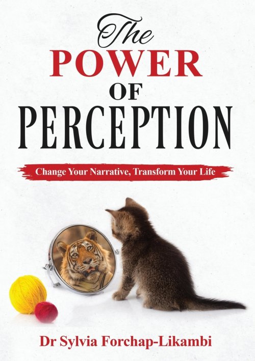 The Power of Perception : Change your Narrative, Transform your Life