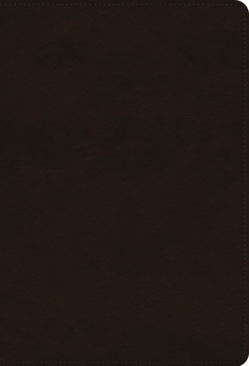 ESV Giant Print Thinline Bible, Red Letter (TruTone, Deep Brown)