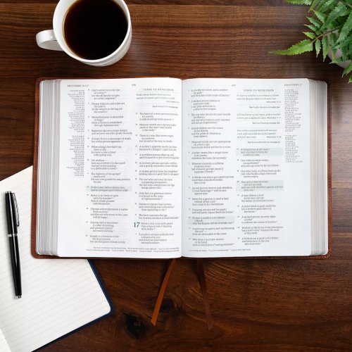 CSB Men of Character Bible, Revised and Updated, Brown LeatherTouch